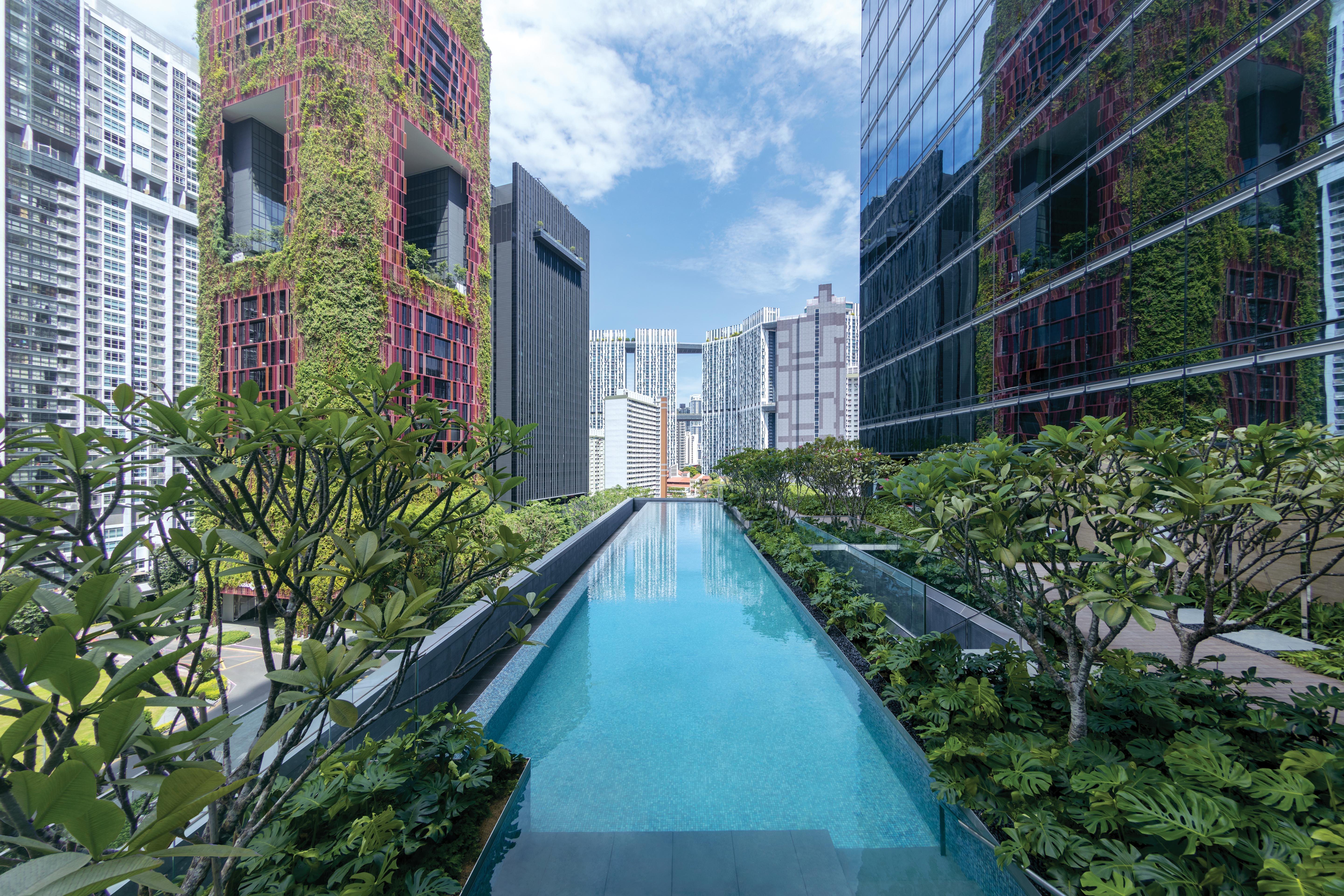 Sofitel Singapore City Centre Bagian luar foto